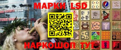 индика Можга