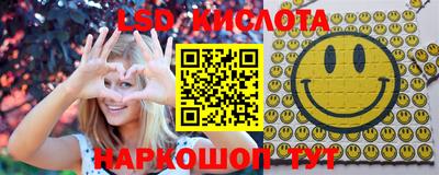 индика Можга