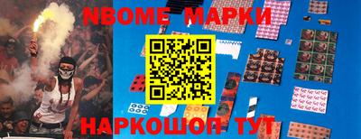 индика Можга
