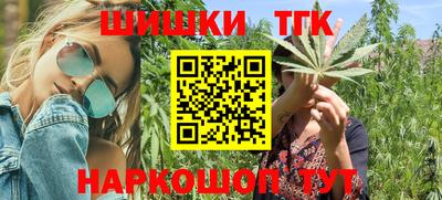 индика Можга