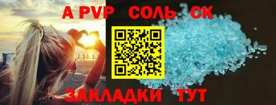 индика Можга