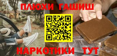 индика Можга
