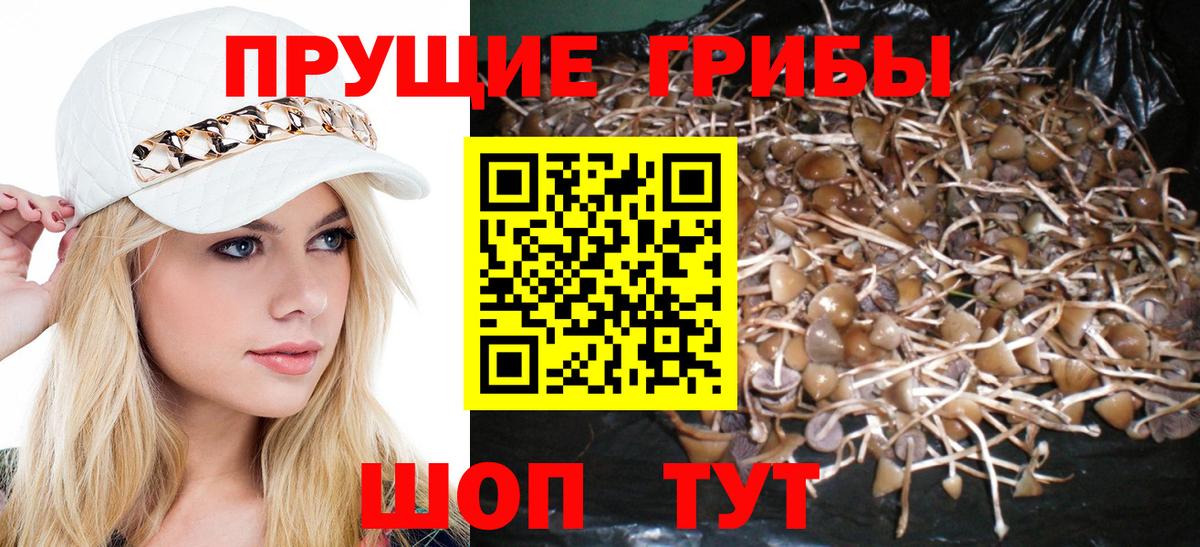 Галлюциногенные грибы мухоморы  Вход с VPN  Видное 